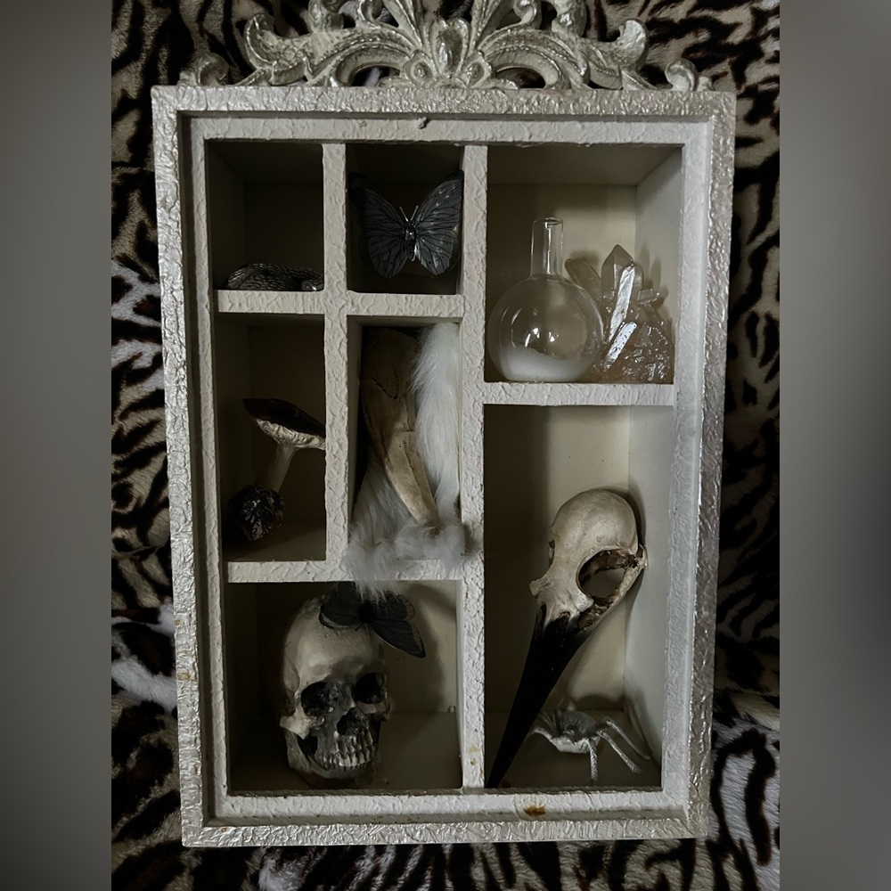 Elegant White Shadow Box with Skulls and Feathers